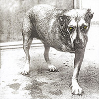 Alice In Chains의 앨범 Alice In Chains 커버 아트 이미지