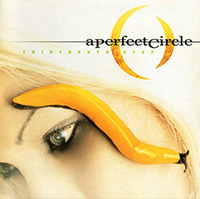 A Perfect Circle의 앨범 Thirteenth Step 커버 아트 이미지