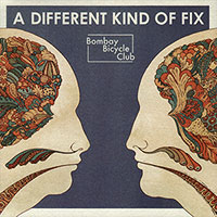 Bombay Bicycle Club의 A Different Kind of Fix 앨범 커버
