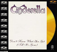 Don't Know What You Got (Till It's Gone) [CD Video Single][Gold CD][Limited Edition] - Cinderella