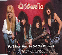 Don't Know What You Got (Till It's Gone)[Maxi] - Cinderella