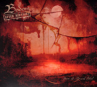 Bodom After Midnight (Children Of Bodom)의 앨범 Paint The Sky With Blood [EP][Digipak] 커버 아트 이미지