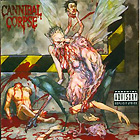 Cannibal Corpse의 앨범 Bloodthirst [Limited Edition][LP] 커버 아트 이미지