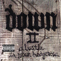 Down (Pantera, Corrosion Of Conformity)의 앨범 Down II : A Bustle in Your Hedgerow 커버 아트 이미지