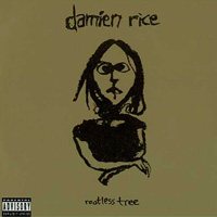 Damien Rice의 앨범 Rootless Tree (Promo CD) 커버 아트 이미지