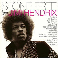 Various Artitsts의 앨범 Stone Free : A Tribute To Jimi Hendrix 커버 아트 이미지