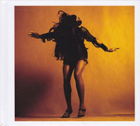 The Last Shadow Puppets의 앨범 Everything You've Come To Expect [Limited Deluxe Edition][Digipak] 커버 아트 이미지