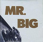 MR. BIG의 앨범 Ain't Seen Love Like That [CD Single](1993) 커버 아트 이미지