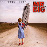 MR. BIG의 앨범 Actual Size 커버 아트 이미지