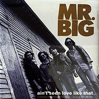 MR. BIG의 앨범 Ain't Seen Love Like That (US Promo CD Single) 커버 아트 이미지