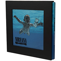 Nirvana의 앨범 Nevermind : 20th Anniversary [4CD/DVD][Super Deluxe Edition][Rmst][Boxset] 커버 아트 이미지