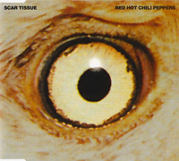 Red Hot Chili Peppers의 앨범 Scar Tissue [Maxi] 커버 아트 이미지