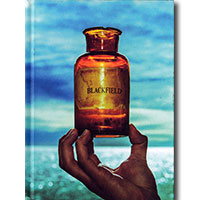 Blackfield (Steven Wilson)의 앨범 V [CD/BluRay][Limited Edition][Digipak] 커버 아트 이미지