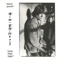Sonic Youth의 Hold That Tiger [Remaster] 앨범 커버