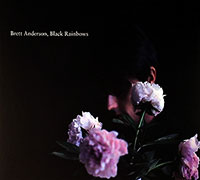 Brett Anderson (Suede)의 앨범 Black Rainbows [Digipak] 커버 아트 이미지