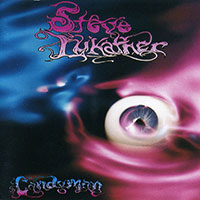 Steve Lukather (Toto)의 앨범 Candyman 커버 아트 이미지