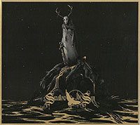 Swallow The Sun의 When a Shadow Is Forced Into the Light [Digipak] 앨범 커버