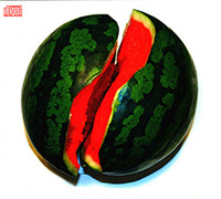 씨없는 수박 김대중의 Vol. 1 : 씨 없는 수박 Seadless Watermelon [Digipak] 앨범 커버