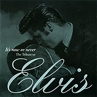 Various Artists의 앨범 It's Now or Never - The Tribute to Elvis 커버 아트 이미지